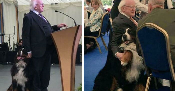 Irish man in a suit speaking at a podium while a large dog stands by, capturing Ireland and Irish sense of humor.