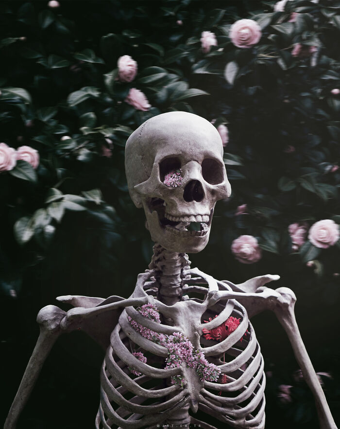 A World Where Dreams Come True (19 Pics)