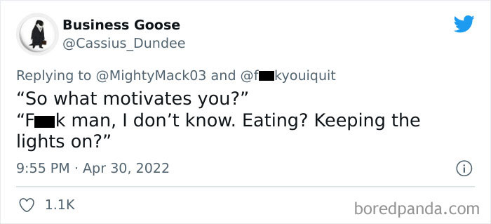 Company Sends An Email Explaining Why They Rejected A Candidate And The Internet Is Roasting Them