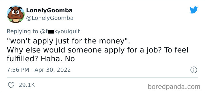 Company Sends An Email Explaining Why They Rejected A Candidate And The Internet Is Roasting Them