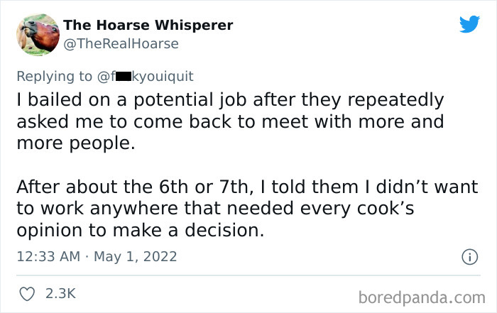 Company Sends An Email Explaining Why They Rejected A Candidate And The Internet Is Roasting Them