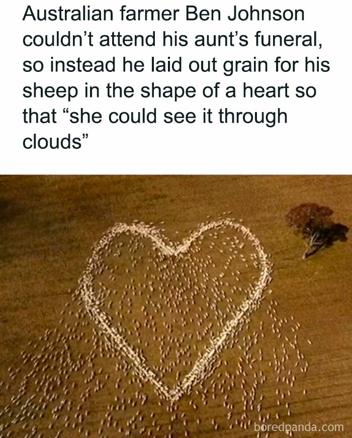 Unexpected-Wholesome-Situations