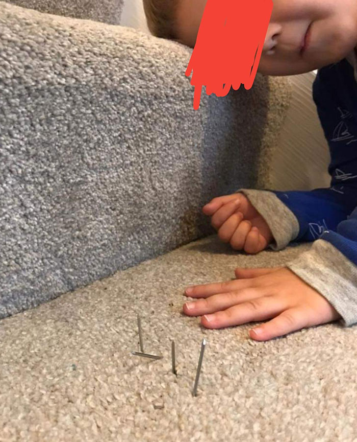 This Afternoon I Noticed Him Sneakily Grabbing Some Fishing Nails, So I Followed Him And Caught Him Red-Handed