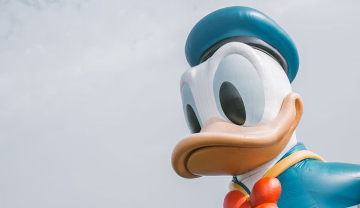 40 New ‘Today I Learned’ Facts That Prove It’s Never Too Late To Learn Something New