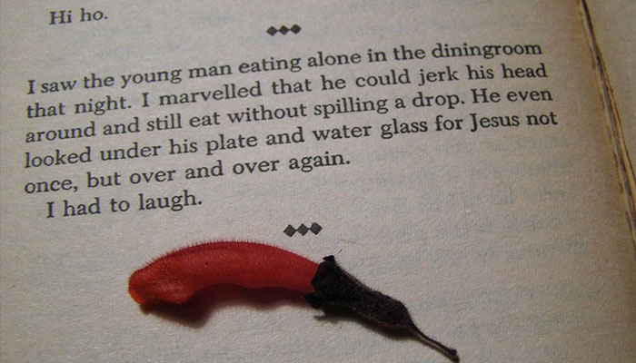 Kurt Vonnegut Sent A Letter To Students In 2006 And People Loved What He Had To Say Kurt Vonnegut Sent A Letter To Students In 2006 And People Loved What He Had To Say