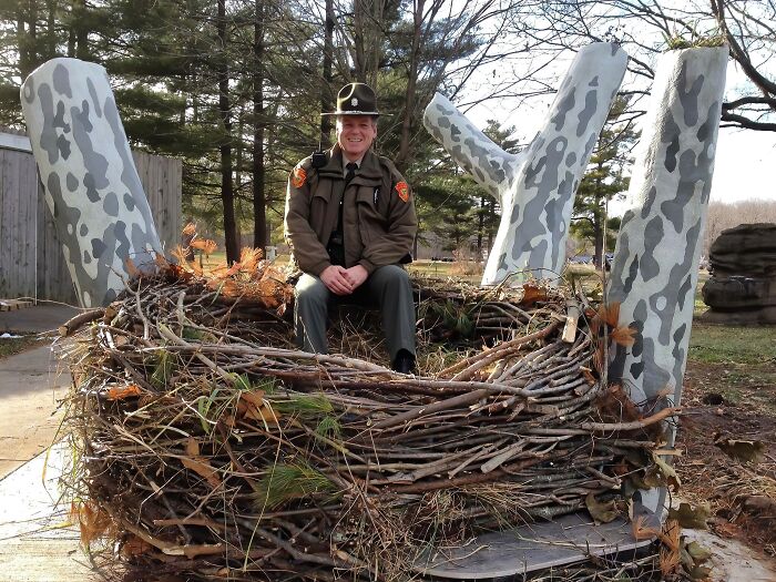 Bald Eagle's Nest With A Ranger For Scale. Wow
