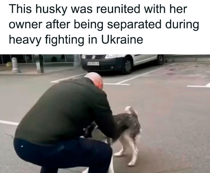 Unexpected-Wholesome-Situations