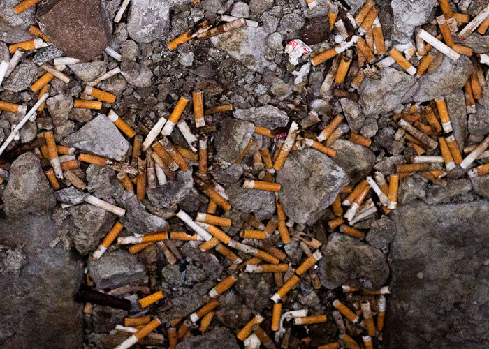 30 Weird, Fascinating, And Disturbing Statistics About Pretty Much Everything (New Answers)