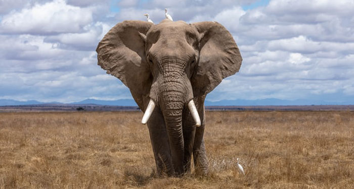 40 New ‘Today I Learned’ Facts That Prove It’s Never Too Late To Learn Something New