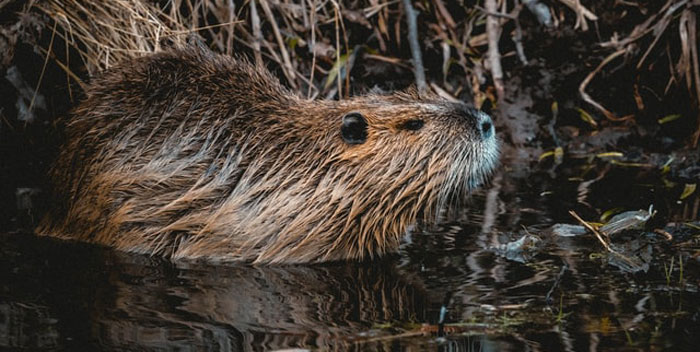 40 New ‘Today I Learned’ Facts That Prove It’s Never Too Late To Learn Something New