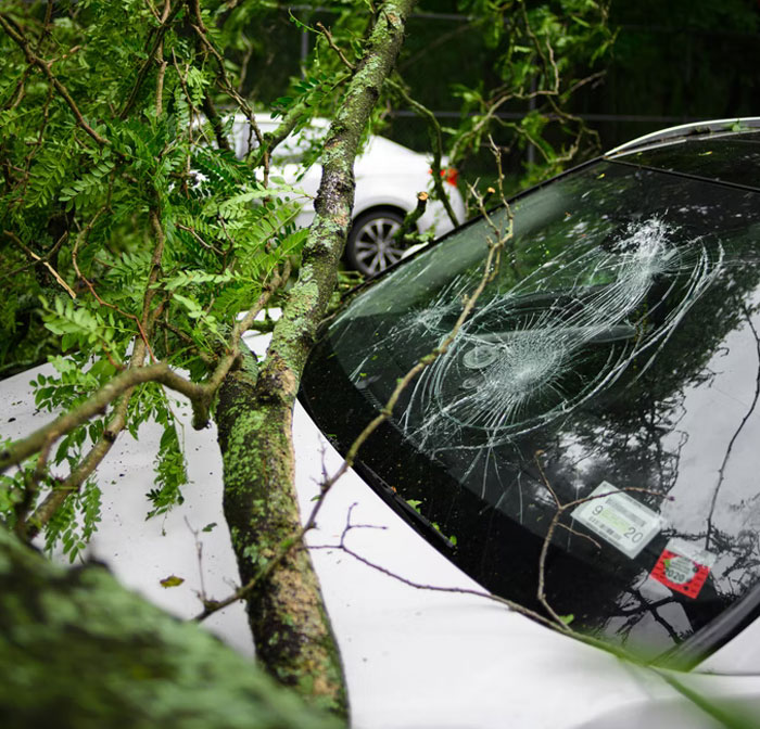 40 One-In-A-Million Coincidences That Are Hard To Believe Actually Happened, Shared In An Online Thread