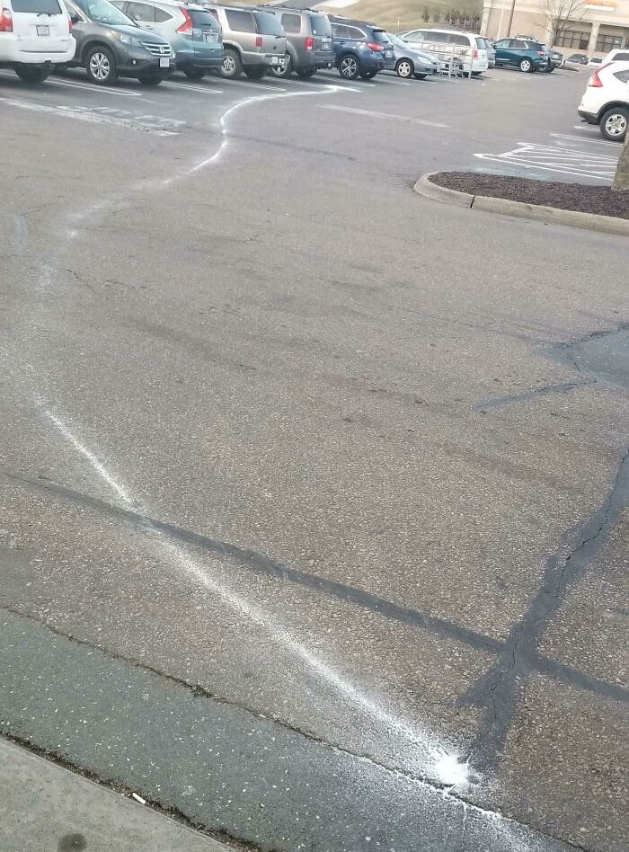 Wife Sent Me To The Store For Sugar On My Way Home And I Didn't Realize What Happened Until I Went To Put It In The Trunk