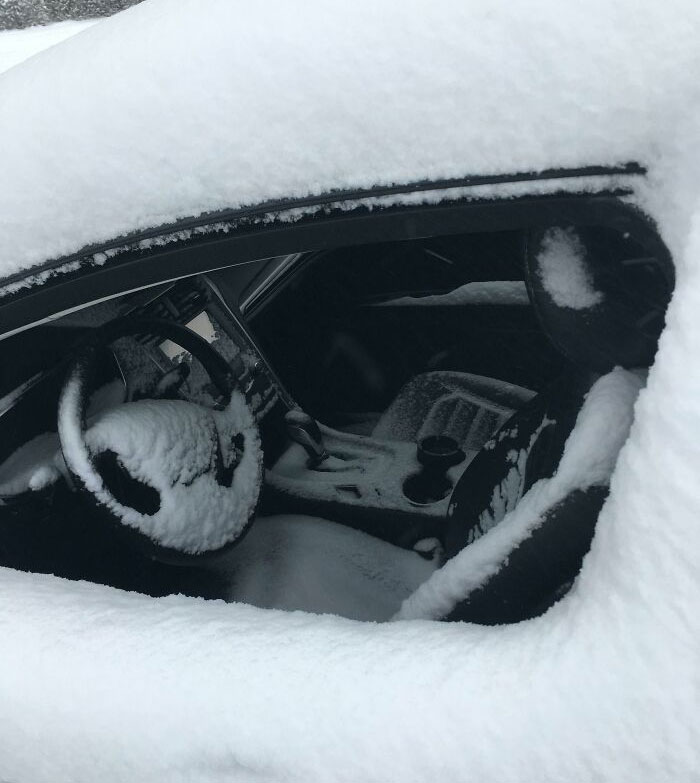 Guy's Neighbors Left Their Car Windows Open Overnight