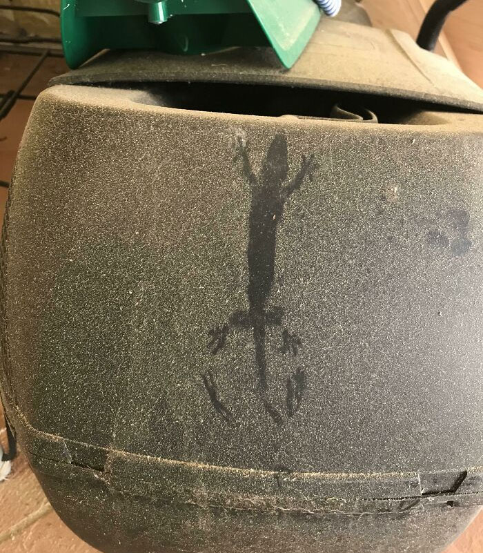 Lizard Fell Off My Ceiling, Hit My Dusty Lawnmower