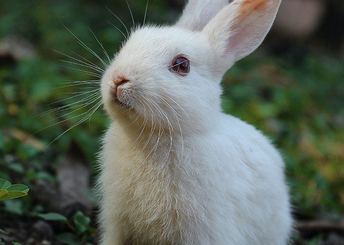 20 Personas comparten lo más espeluznante que dijeron los niños, y te dará escalofríos