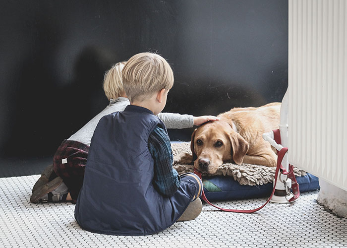 20 Personas comparten lo más espeluznante que dijeron los niños, y te dará escalofríos