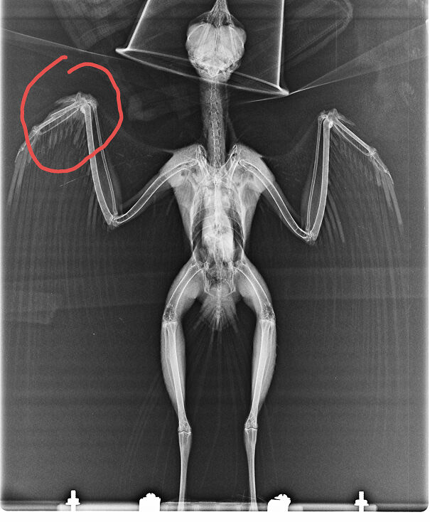 Only Black And White Image I Have