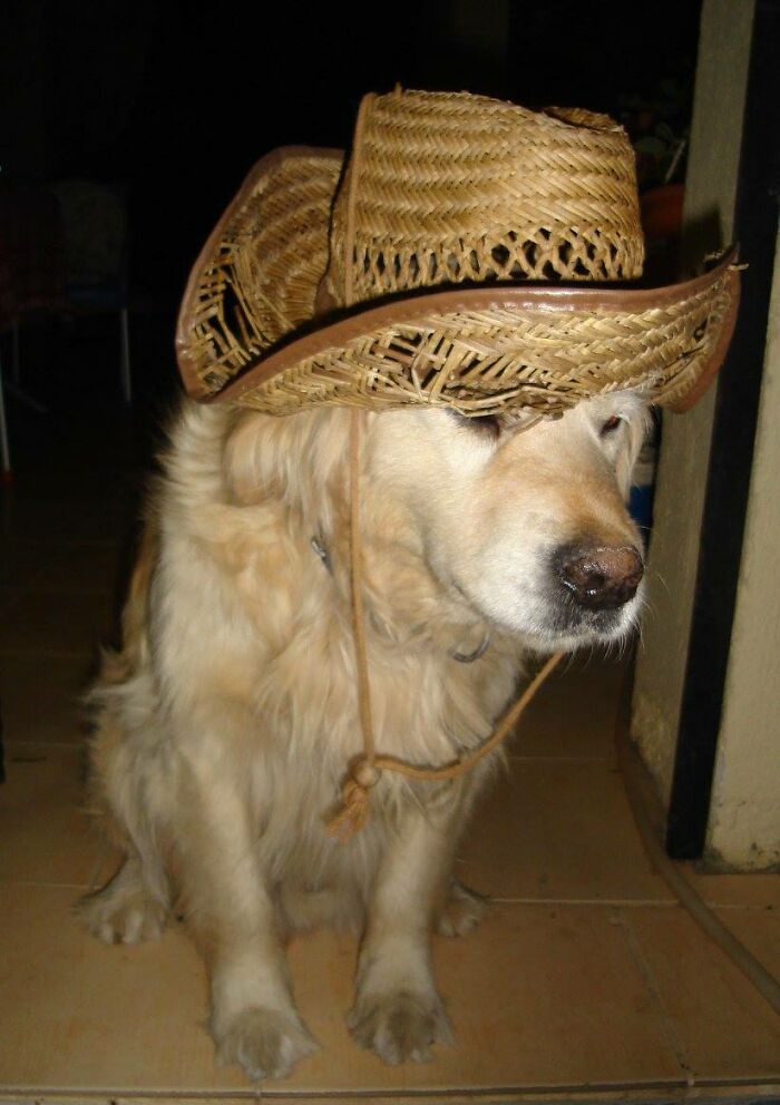 Helping In The Garden
