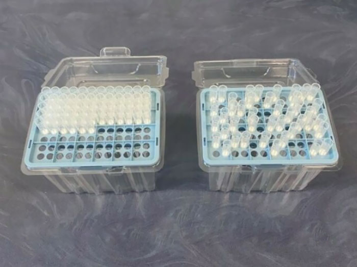 Which Type Of Person Are You?