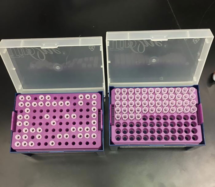 There Are Two Types Of Scientists In This World