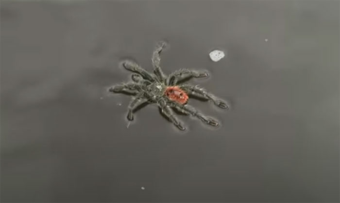 30 Really Creepy Facts About The World That Are A Reminder About How Weird Our Timeline Really Is