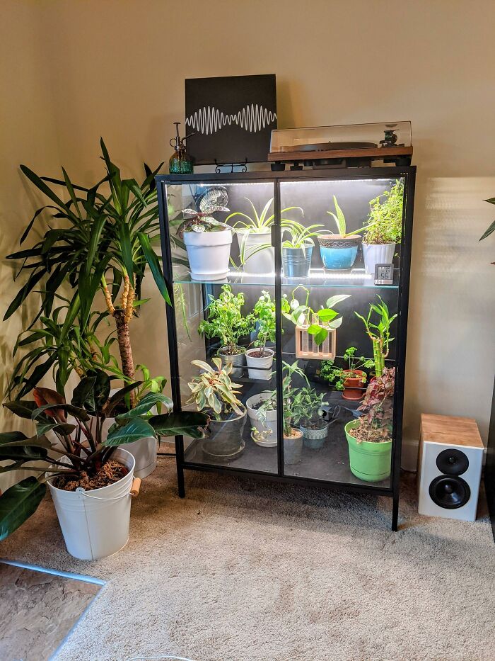 Rudsta Greenhouse Cabinet