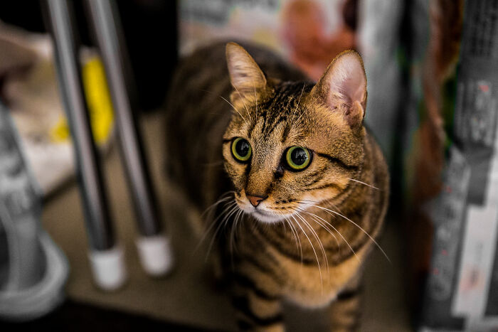 This Thread Has People Sharing Stories About Lunatic Roommates, And Here Are 30 Of The Most Nightmarish Ones