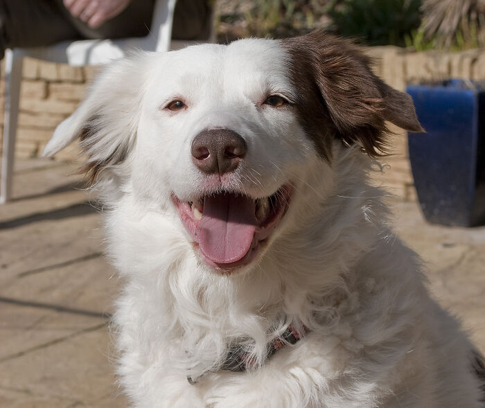 This Thread Has People Sharing Stories About Lunatic Roommates, And Here Are 30 Of The Most Nightmarish Ones