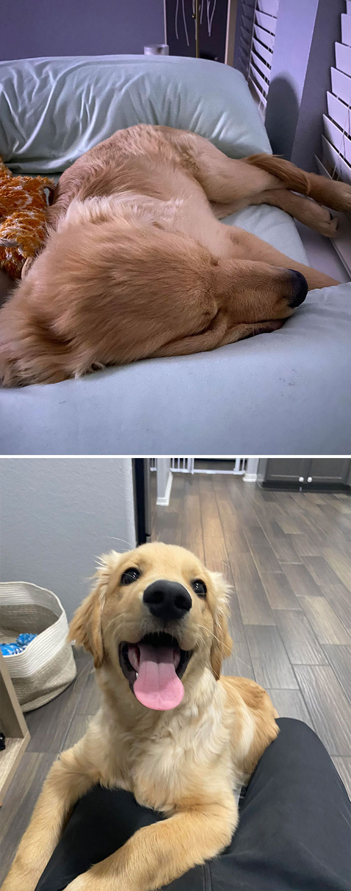 Repeat After Me Milo: “Personal Space” Milo: “In Your Face?”