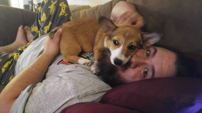 There's No Such Thing As Personal Space When A Puppy Loves Someone