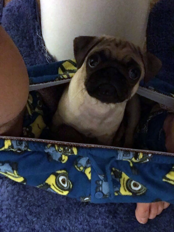 Well I Guess Personal Space Is Not A Thing