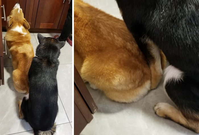 Waiting In Line For Food. No Concept Of Personal Space