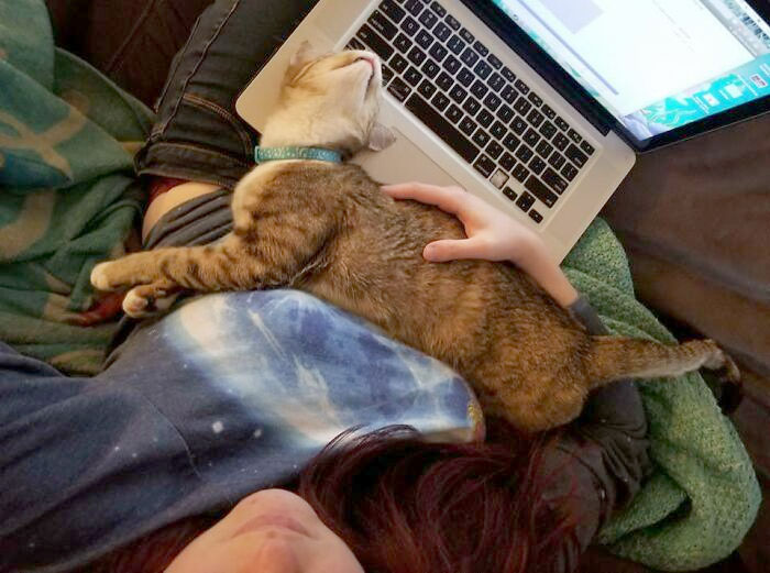 Found This Kitty At The Gas Station And Brought Her Home A Few Days Ago. It's Okay, Maxie, We Don't Need Personal Space In This House