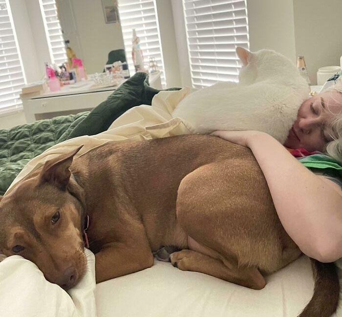 Get A King Bed They Said. You’ll Have More Space For The Animals