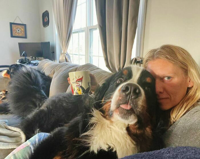 When Mama Is Up Early And Trying To Enjoy Her Coffee. I Just Wanted To Remind Her That Us Bernese Mountain Dogs Are Clingy And Require A Crazy Amount Of Cuddles