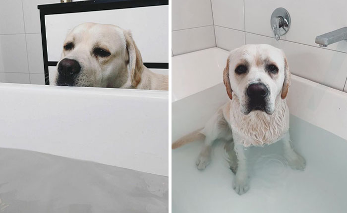 A Short Story Titled: Can I Get In The Bath With You, Please? Spoiler - I Got In