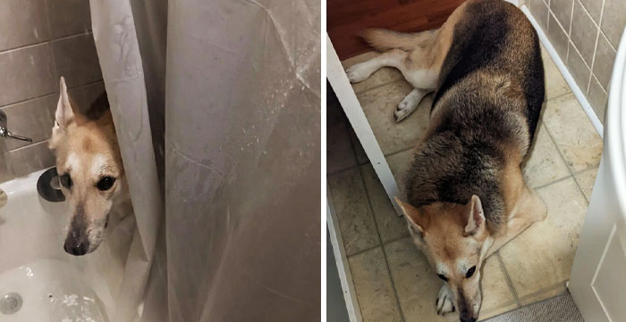 Mom Hasn't Felt Good The Last Few Days. So I Keep A Close Eye On Her. Even When She's In The Bath Or Shower. You Never Know When She Might Need A Kiss Attack