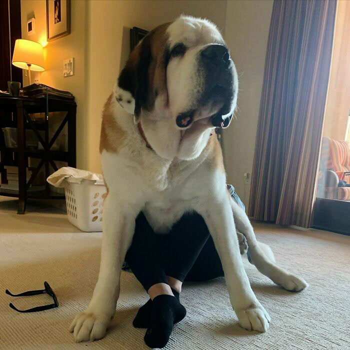 The Best Seat In The House