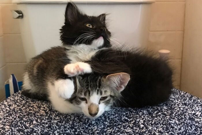 Personal Space? What Personal Space?