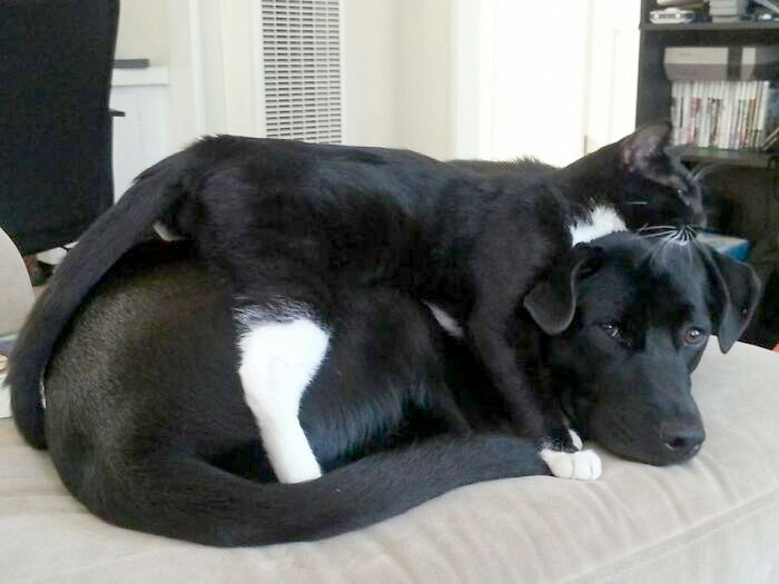 Bruce Does Not Understand Personal Space