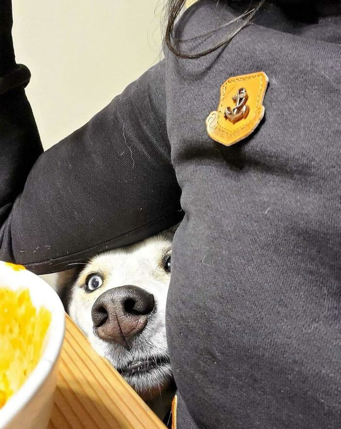 Every Bite You Take, Every Lunch You Make, Every Time You Bake, Every Piece Of Steak, I'll Be Watching You