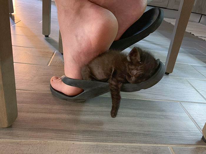 I Found This Little Boy In The Countryside, Alone. Initially, He Was Scared, Now He Seems To Be Pretty Comfortable