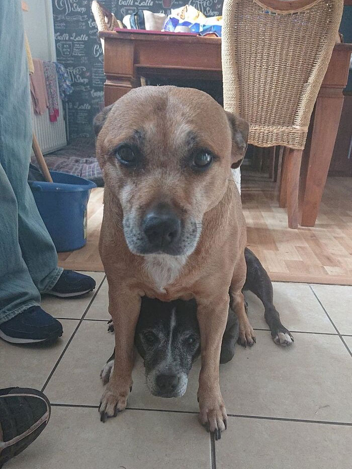 When You Tell The One With No Concept Of Personal Space To Sit