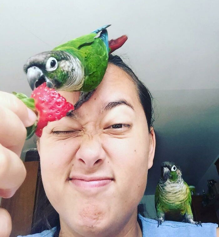 Someone Doesn’t Understand The Concept Of Personal Space