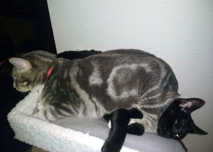 Personal Space Not Found