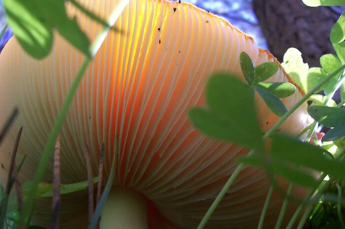 Didn't Even Look While Taking This One, Just Angled It And Click!