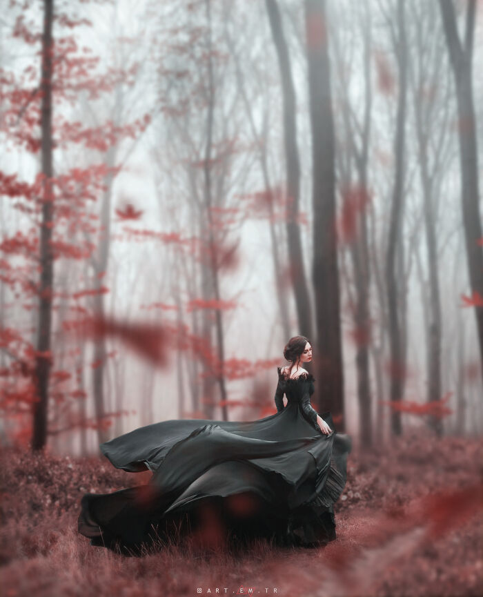 A World Where Dreams Come True (19 Pics)