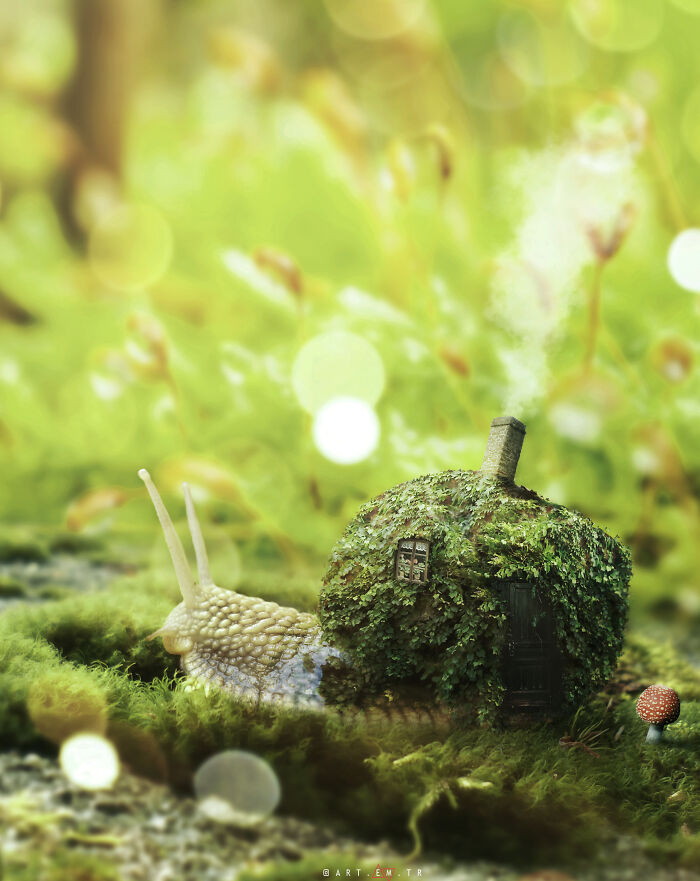 A World Where Dreams Come True (19 Pics)