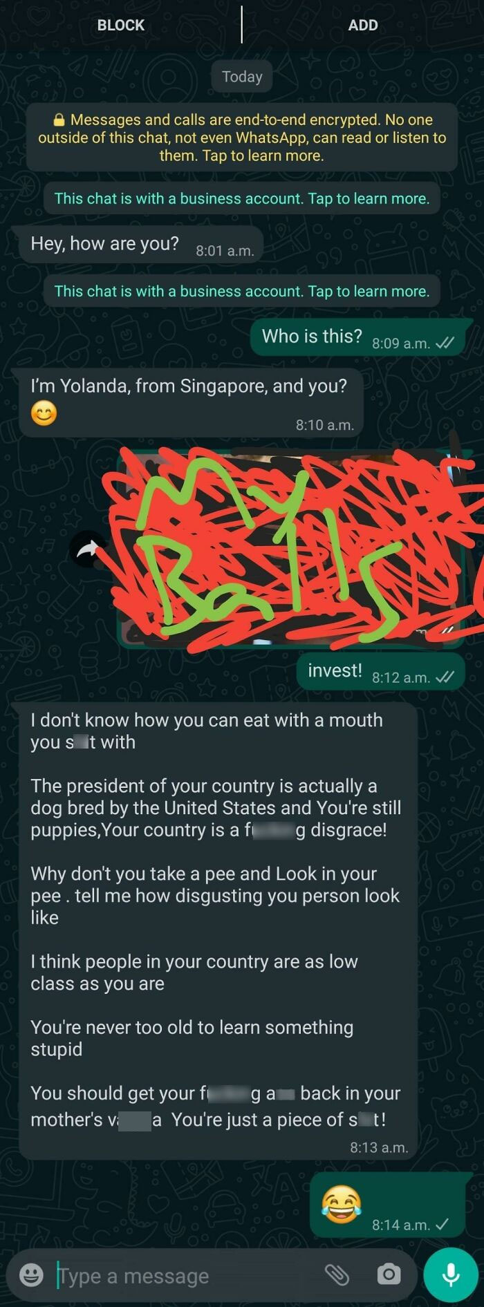 I Recently Started Sending A Picture Of My Balls To Any Scambait I Receive. These Unsolicited Whatsapp Messages Are Completely Unacceptable!