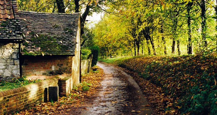 30 Weird, Fascinating, And Disturbing Statistics About Pretty Much Everything (New Answers)